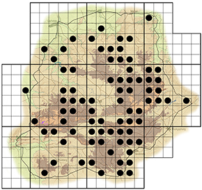 Vitex pooara Waterberg distribution